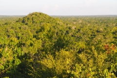 El Mirador - Peten - Guatemala