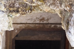 El Mirador - Peten - Guatemala