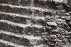 El Mirador - Peten - Guatemala