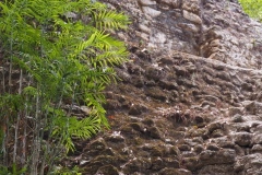 El Mirador - Peten - Guatemala