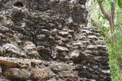 El Mirador - Peten - Guatemala