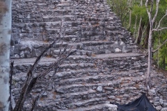El Mirador - Peten - Guatemala