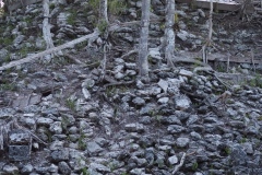 El Mirador - Peten - Guatemala