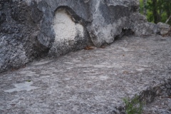 El Mirador - Peten - Guatemala