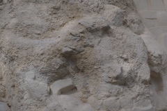 El Mirador - Peten - Guatemala