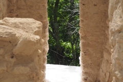 El Mirador - Peten - Guatemala