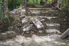 El Mirador - Peten - Guatemala