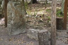 El Mirador - Peten - Guatemala