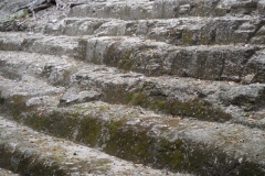 El Mirador - Peten - Guatemala