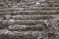 El Mirador - Peten - Guatemala