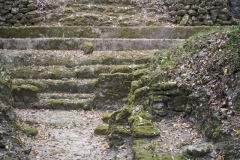 El Mirador - Peten - Guatemala
