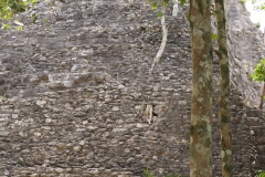 El Mirador - Peten - Guatemala