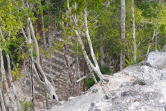 El Mirador - Peten - Guatemala