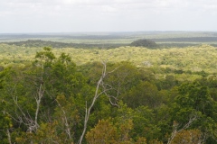 El Mirador - Peten - Guatemala