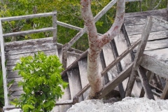 El Mirador - Peten - Guatemala