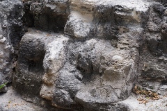 El Mirador - Peten - Guatemala