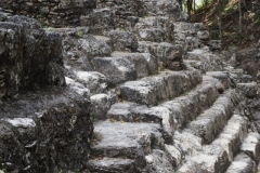 El Mirador - Peten - Guatemala