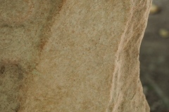 El Mirador - Peten - Guatemala