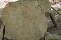 El Mirador - Peten - Guatemala