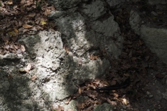 El Mirador - Peten - Guatemala