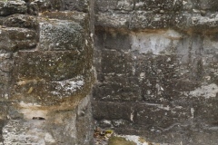 El Mirador - Peten - Guatemala