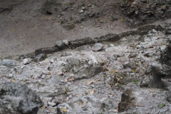 El Mirador - Peten - Guatemala