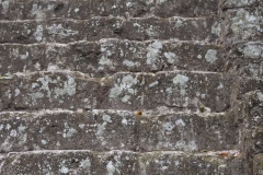 El Mirador - Peten - Guatemala