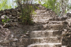 El Mirador - Peten - Guatemala