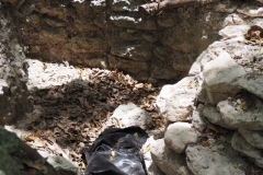 El Mirador - Peten - Guatemala