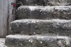 El Mirador - Peten - Guatemala