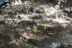 El Mirador - Peten - Guatemala