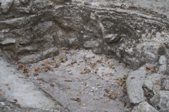 El Mirador - Peten - Guatemala