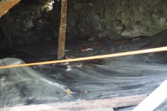 El Mirador - Peten - Guatemala