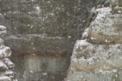 El Mirador - Peten - Guatemala