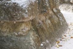 El Mirador - Peten - Guatemala