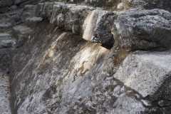 El Mirador - Peten - Guatemala