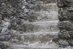 El Mirador - Peten - Guatemala