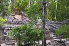 El Mirador - Peten - Guatemala