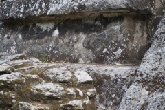 El Mirador - Peten - Guatemala