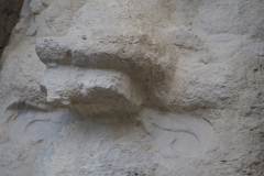 El Mirador - Peten - Guatemala