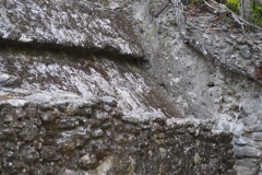 El Mirador - Peten - Guatemala