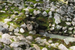 El Puente - Honduras