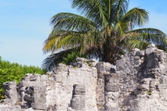 El Rey - Quintana Roo