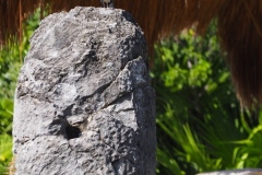 El Rey - Quintana Roo