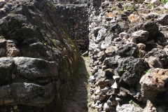 El Tigre - Itzamkanac  - Campeche