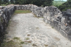 El Tigre - Itzamkanac  - Campeche