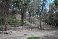 El Tigre - Itzamkanac  - Campeche