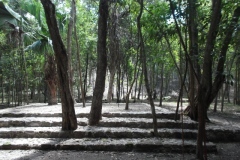 El Tigre - Itzamkanac  - Campeche