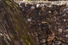 El Tigre - Itzamkanac  - Campeche