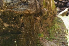 El Tigre - Itzamkanac  - Campeche